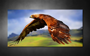 Web Design by SeXtreme for this project | Design #5855371