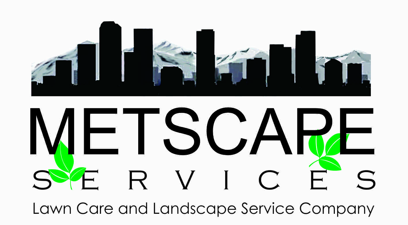 Logo and Business Card Design by wchristia for this project | Design #5887657