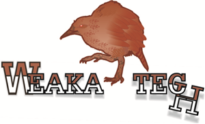 Logo Design by roony