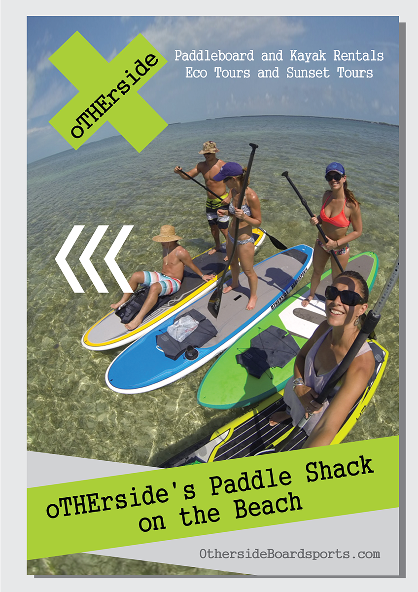 Poster Design by alex989 for this project | Design #5832013