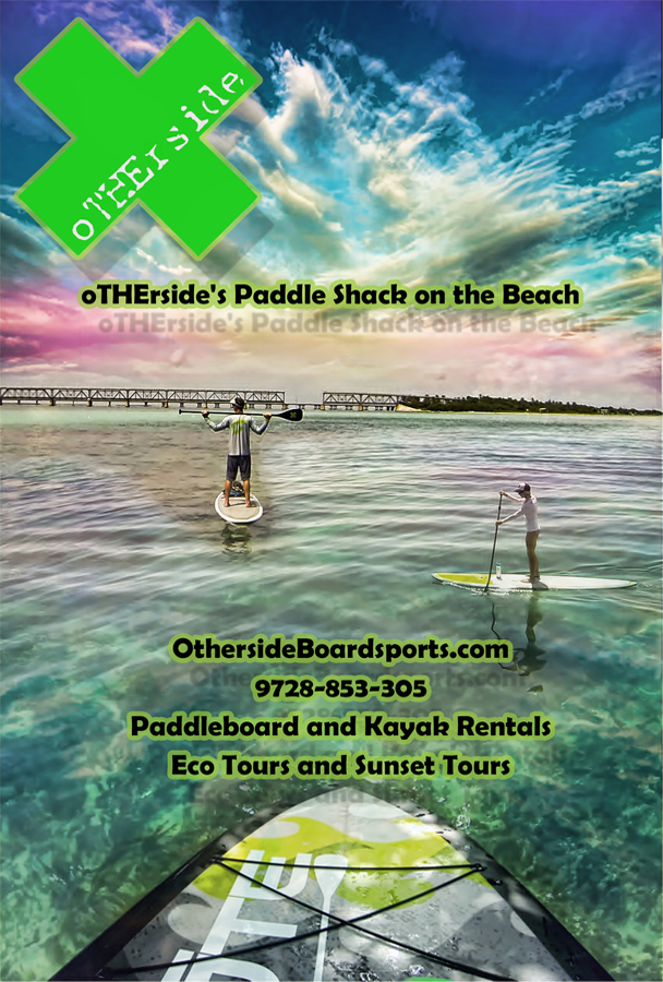 Poster Design by Youssef Yasin Designs for this project | Design #5860515