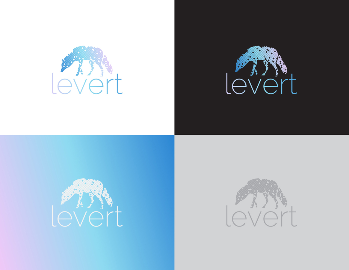 Logo Design by Rizwan Ashraf for this project | Design #5835866