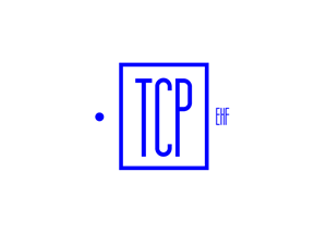 Logo Design by Freemindart