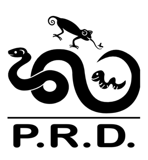 Logo Design by Ladii Goddiva
