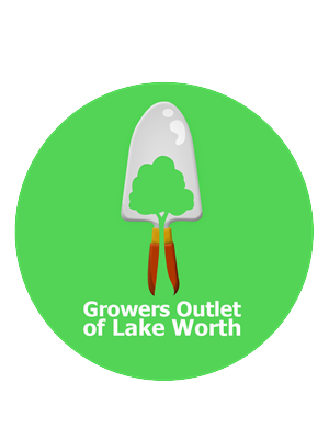 Diseño de Logo por missmica para este proyecto | Diseño: #306868