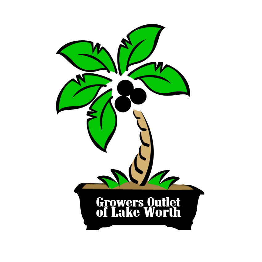 Logo Design by missmica for this project | Design #310591