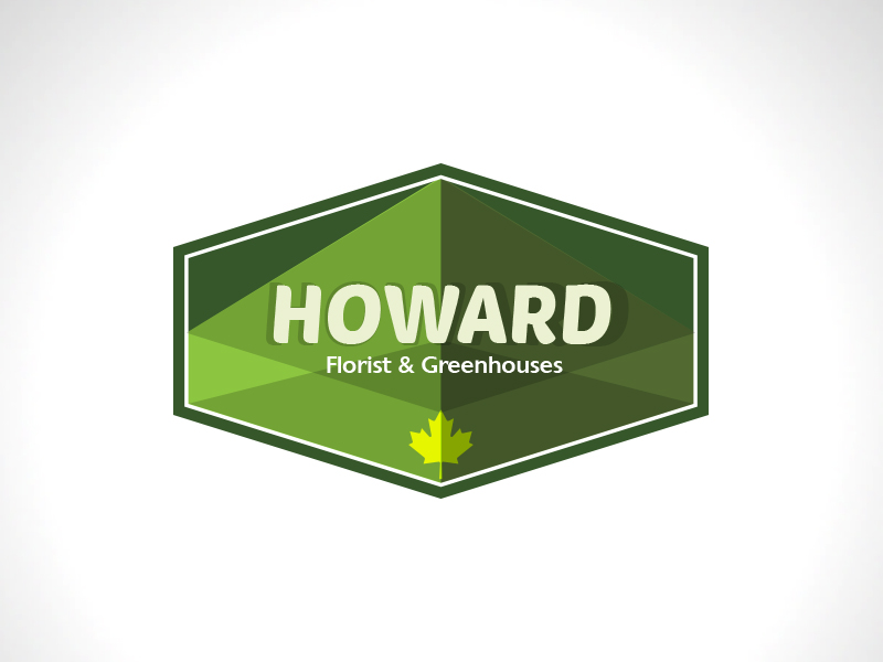 Logo Design by Anooshaa Kachhia for this project | Design #5874369