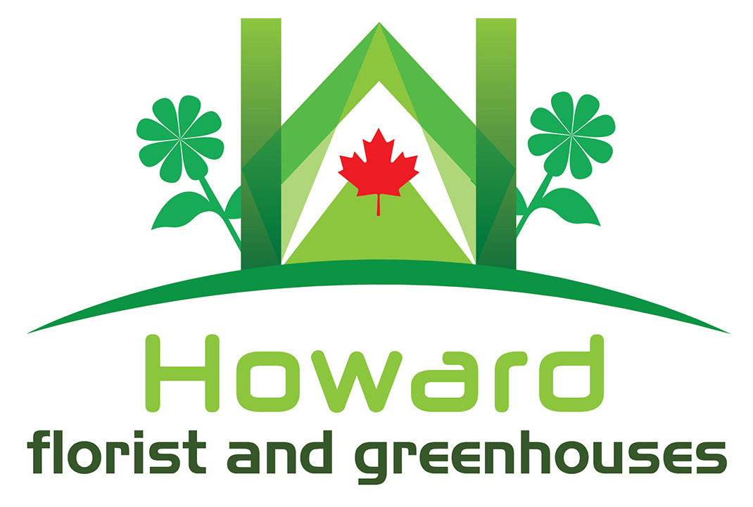 Logo Design by Anooshaa Kachhia for this project | Design #5948353