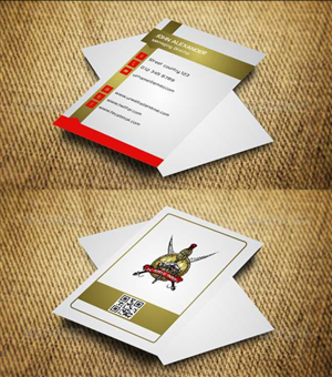 Business Card Design by AwsomeD