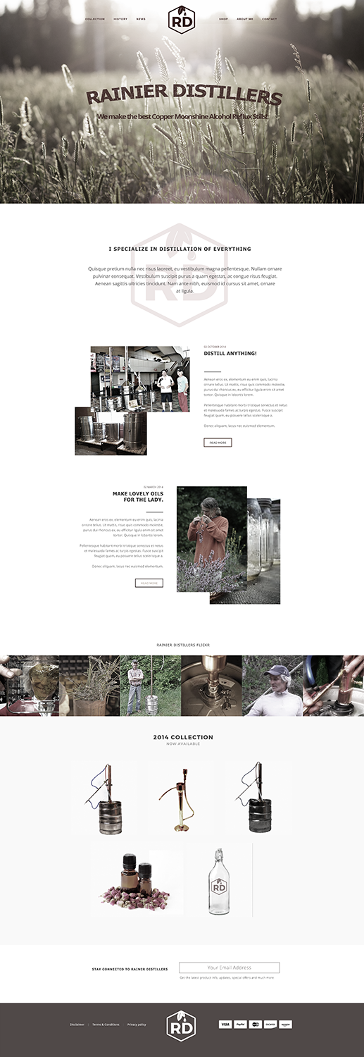 Web Design by Luzmiladdl for Rainier Distillers | Design #5888637
