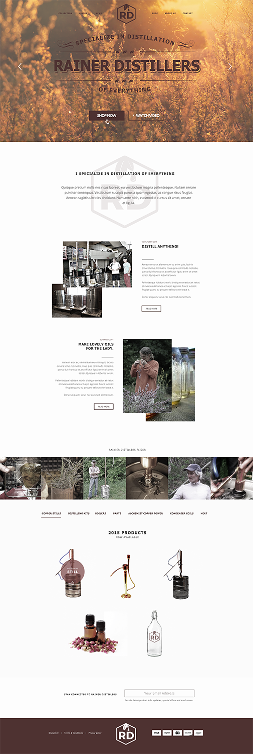 Web Design by Luzmiladdl for Rainier Distillers | Design #5906798