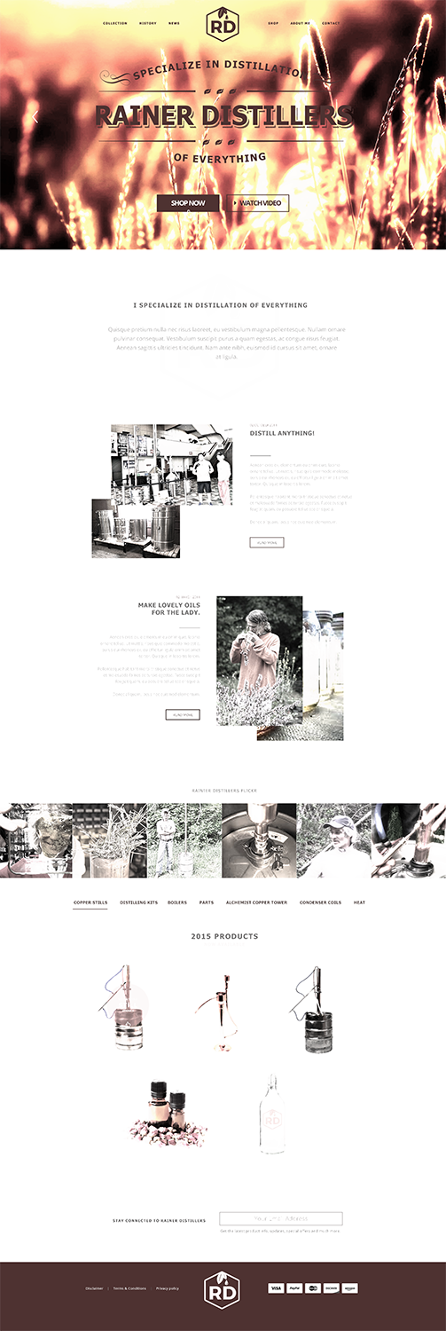 Web Design by Luzmiladdl for Rainier Distillers | Design #5906840