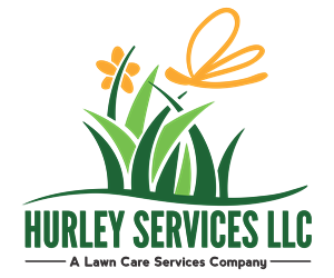 Logo Design by awe'niche