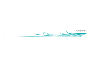 Grafik-Design von elysawus für dieses Projekt | Design: #5904272