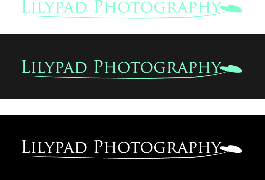 Logo Design by Design Possibilities for this project | Design #316356