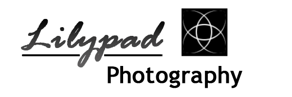 Logo Design by Hani for this project | Design #315934