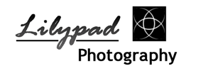 Design de Logo par Hani pour ce projet | Design : #315934