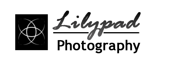 Logo Design by Hani for this project | Design #315935