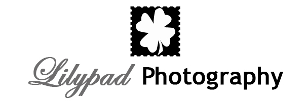 Logo Design by Hani for this project | Design #315937