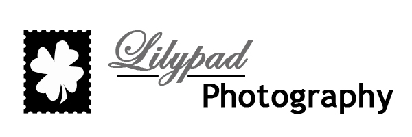 Logo Design by Hani for this project | Design #315938