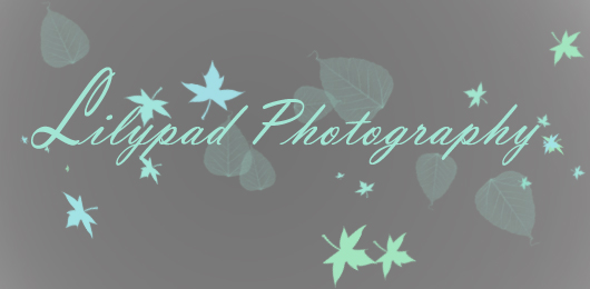 Logo Design by Bee Maja for this project | Design #315832