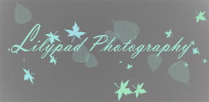 Logo Design by Bee Maja for this project | Design: #315832