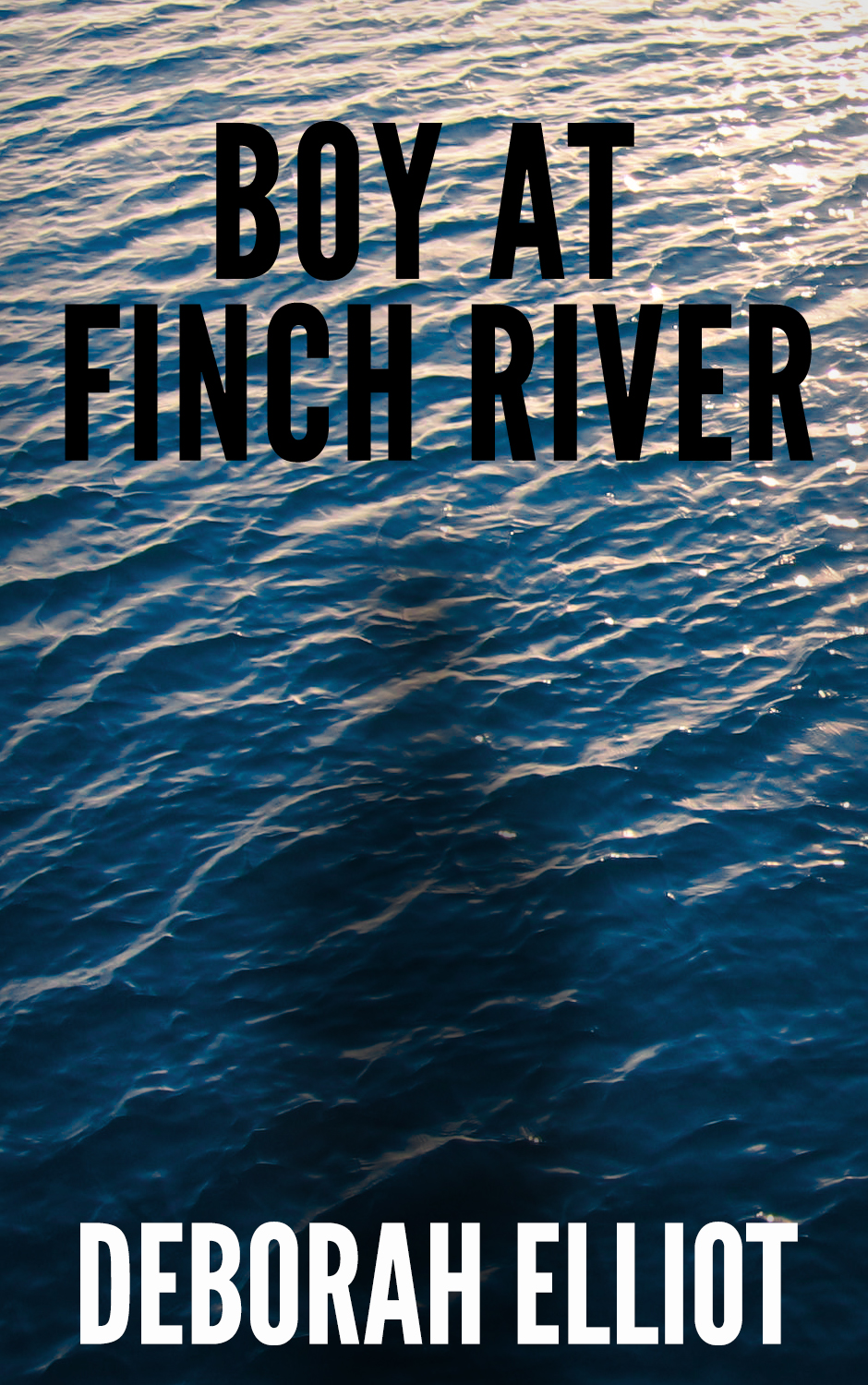 Design de Couverture eBook par troy.e.russell pour ce projet | Design #5878822
