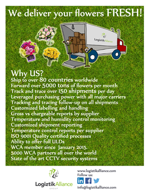 Brochure Design by anindita.tp