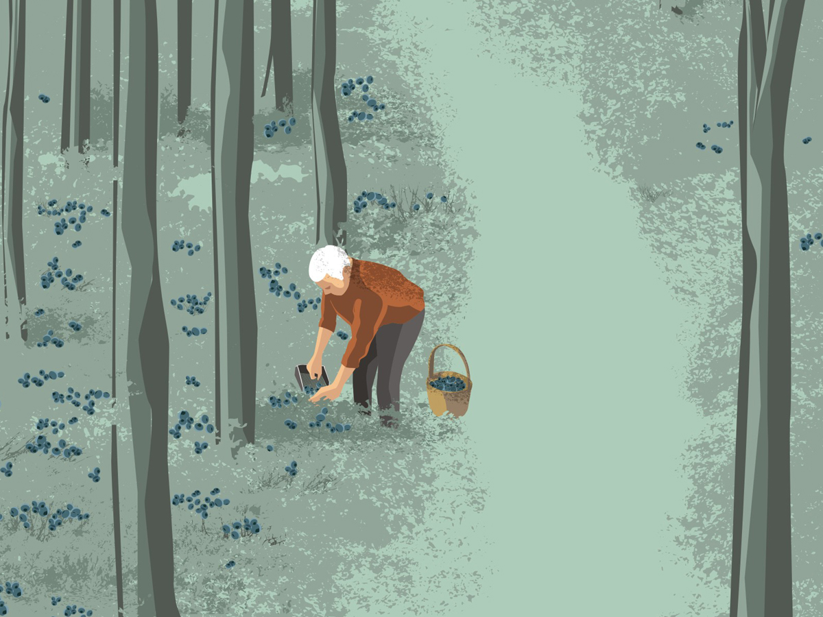 Illustration Design by Voltage Gated for this project | Design #5906038