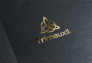 Logo Design by Marius Fechete