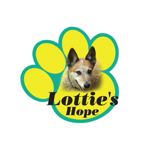 Logo Design by Himanshi10