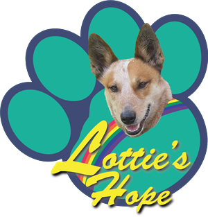 Logo Design by Howell Designs