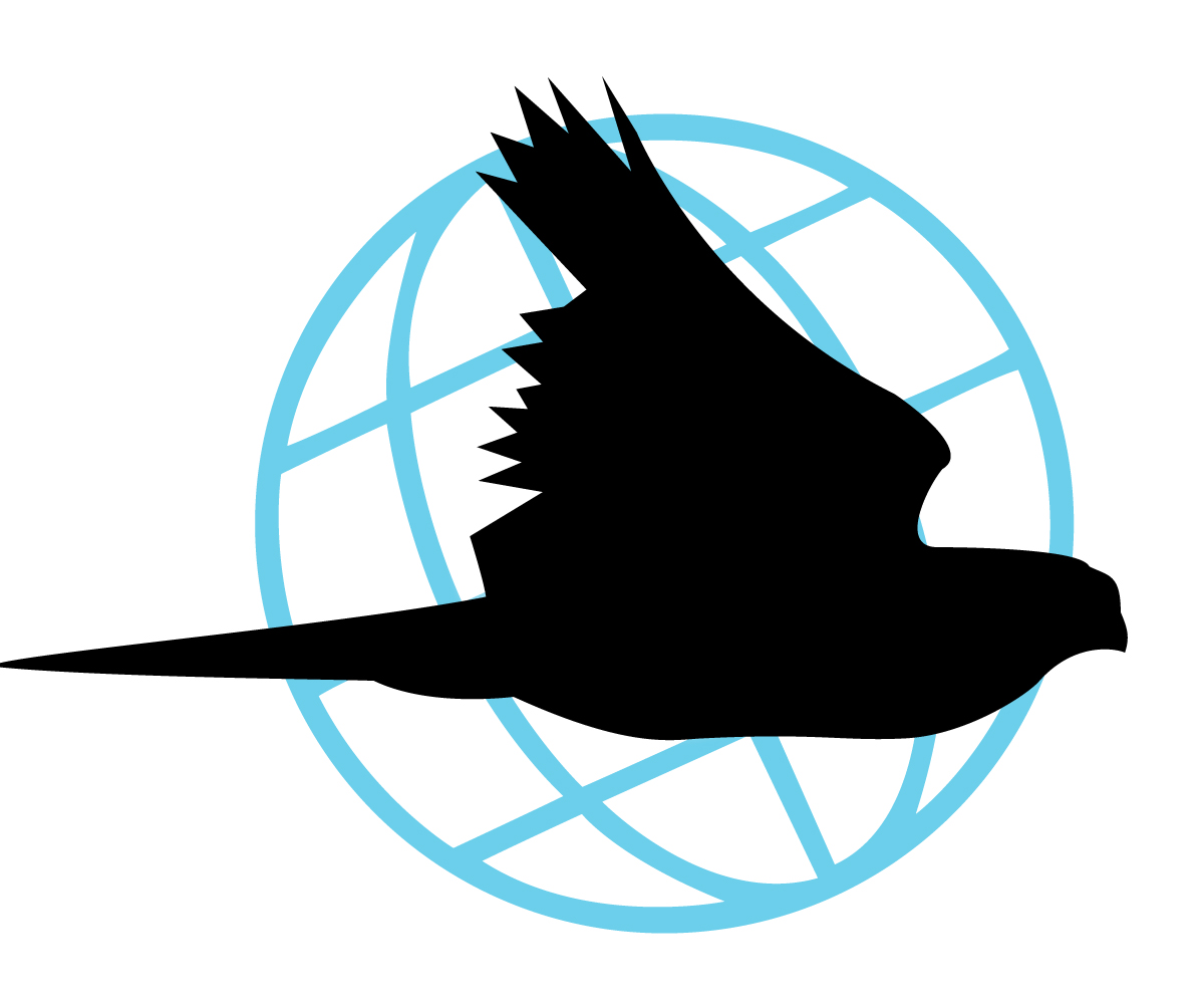 Logo Design by Tiaan Human for Black Falcon Digital | Design #1618287