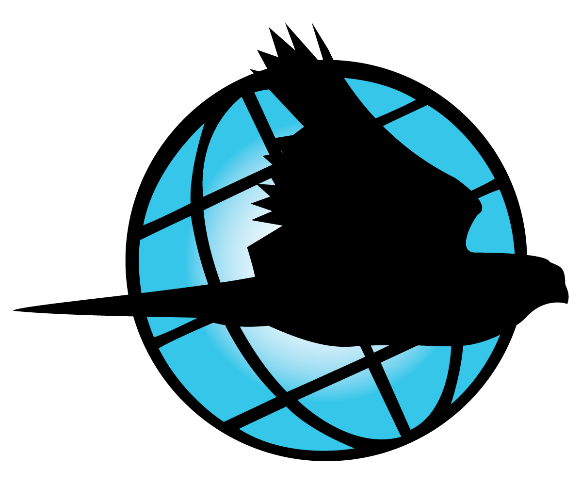 Logo Design by Tiaan Human for Black Falcon Digital | Design #1618293