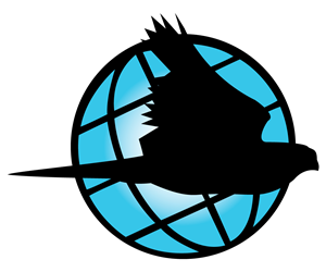 Diseño de Logo por Tiaan Human para Black Falcon Digital | Diseño: #1618293