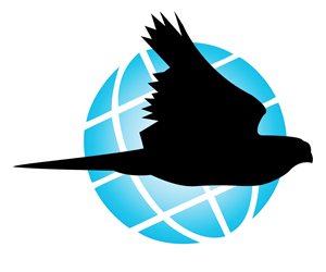 Diseño de Logo por Tiaan Human para Black Falcon Digital | Diseño: #1618294