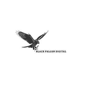 Logo Design by Perfect for Black Falcon Digital | Design: #1639323