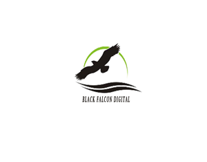 Logo Design by Perfect for Black Falcon Digital | Design: #1639343