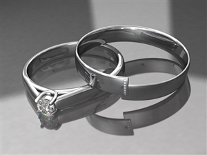 3D Design by ejcx for this project | Design: #6071069