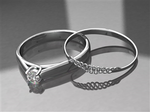 3D Design by ejcx for this project | Design: #6071092