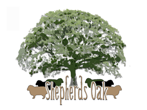 Logo Design by Earthworks for Shepherds Oak | Design: #5886957