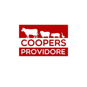 Logo Design by AnaDen