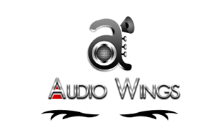 Logo Design by GoToGraphics for Audiowings Ltd | Design: #1609018
