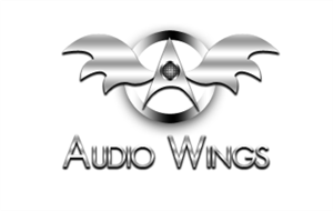 Logo Design by GoToGraphics for Audiowings Ltd | Design: #1609022