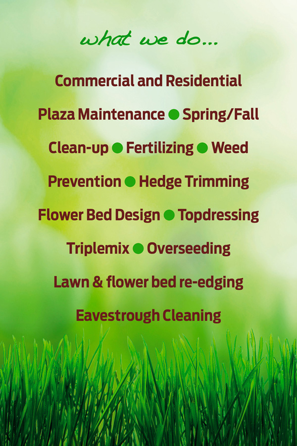 Diseño de Flyer por Dalibor Zunic para Unique Landscaping and Lawn Services | Diseño #1597228