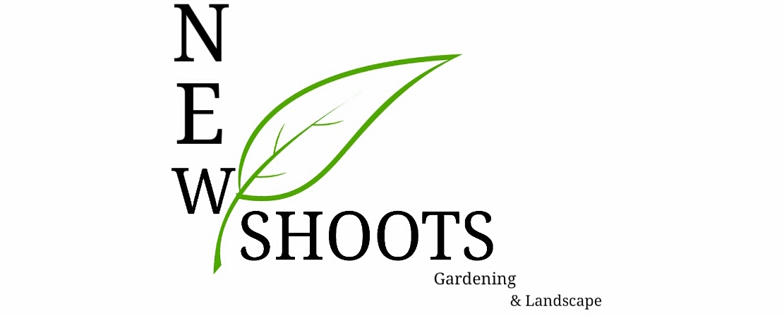 Graphic Design by James Ponce for this project | Design #5936586