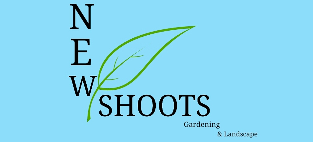 Graphic Design by James Ponce for this project | Design #5936695