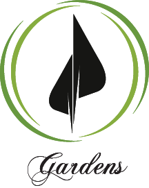 Graphic Design by Nadiir