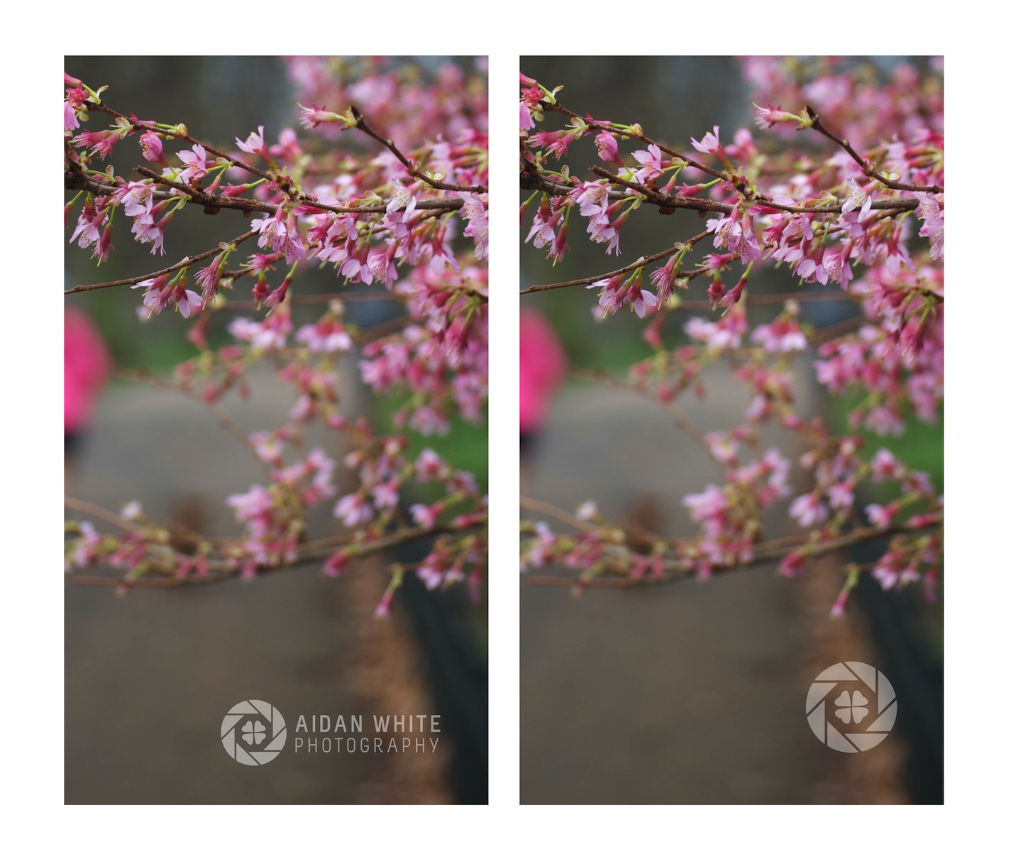 Logo Design by Jo L. for this project | Design #5887598