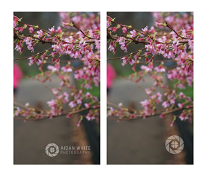 Logo Design by Jo L. for this project | Design: #5887598